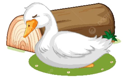 Cute Duck Sleeping On Grass Illustration Image Grass Vector