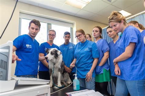 News Nottingham Vet School Earns Prestigious Accreditation From The American Veterinary