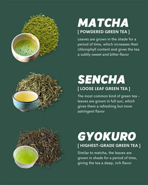 Everything You Need To Know About Japanese Green Tea Asia Trend