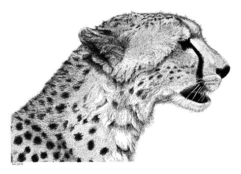 Cheetah I Wish I Was This Skilled Dotted Drawings Ink Pen