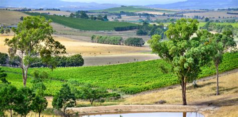 Handpicked Wines The Essence Of Australia Wine Along The 101