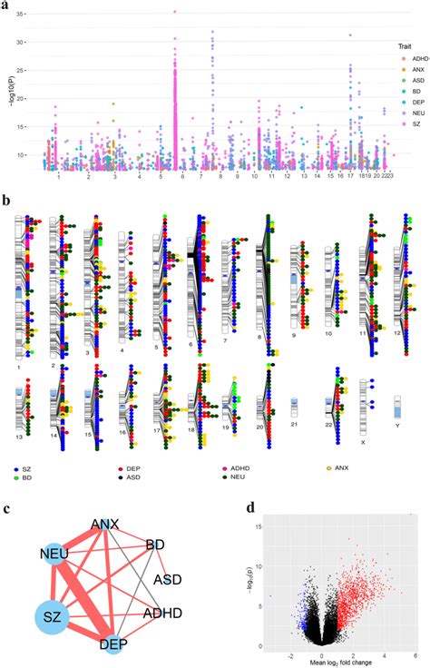 A Snps Of Gwas Results For The Seven Psychiatric Traits Chromosomal