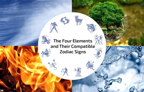 The 12 Zodiac Elements Horoscope 12 Zodiac Signs Elements Stock