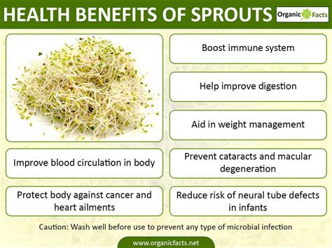 This isn't true for benefits of eating bean sprouts. 11 Best Benefits of Sprouts | Organic Facts