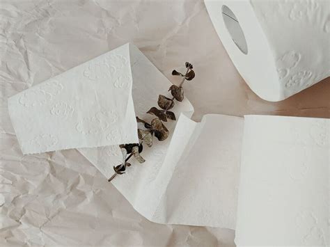 Aus Diesen 5 Gründen Sollten Sie Niemals Feuchtes Toilettenpapier Verwenden