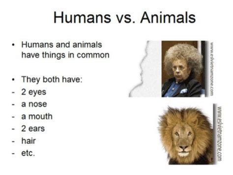 Humans Vs Animals Presentation