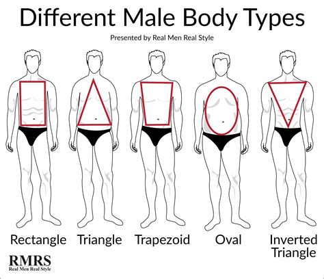 Body Shape Chart Body Shape Guide Male Body Shapes Types Of Body