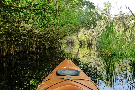 20 Epic Things To Do In Everglades National Park Helpful Guide