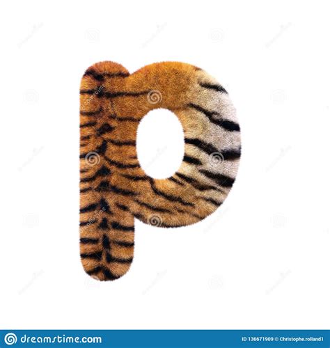 A Letra P Do Tigre Fonte Felino Lowercase Da Pele 3d Apropriada