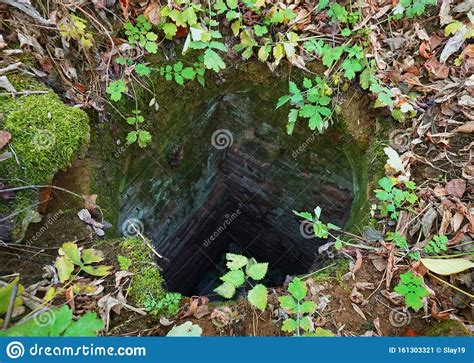 Small Cave In The Forest Stock Image Image Of Cavern 161303321