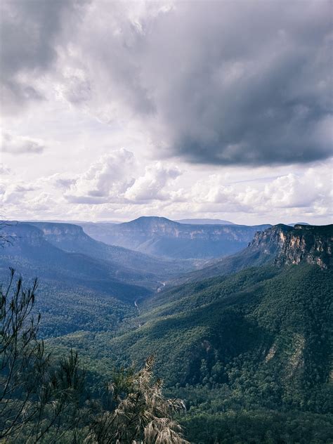 Blue Mountains National Park NSW Australia 1440x1801 OC R EarthPorn