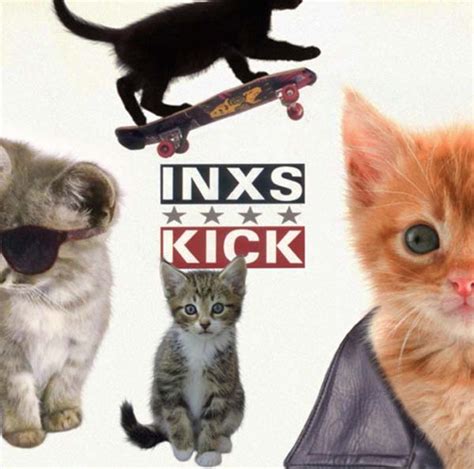 28 Kittens On Album Covers Nme