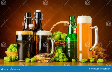 Different Types Of Beer And Brewing Ingredients Stock Photo Image Of