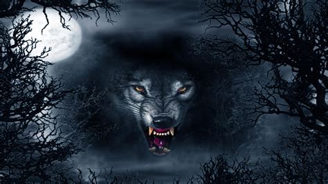 Dark Evil Wolf Wallpapers Top Free Dark Evil Wolf Backgrounds