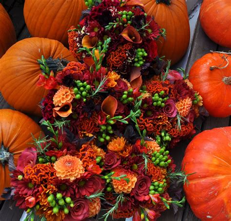 Top 5 Flowers In Season For Your Fall Wedding My Wedding Reception