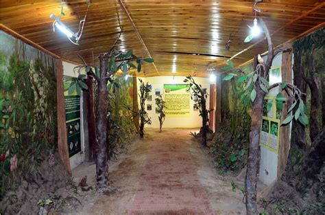 Putrajaya ✨tb2.0 | we went to putrajaya just to renew our kad pengenalan. Neora Valley Nature Interpretation Centre at Lava ...