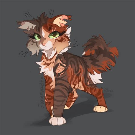 Tawnypelt By Graypillow Young Warrior Warrior Cats Fan Art Warrior