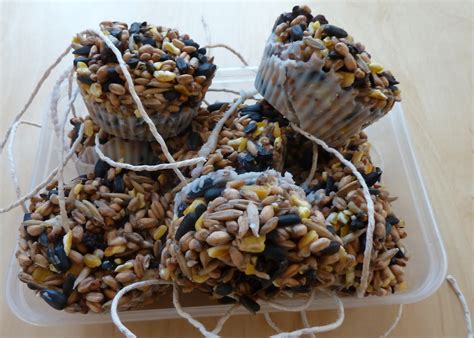 Haven't tried this one yet myself, but i might give it a try one of these days. Guest Post - Homemade bird seed cakes - Emmy's Mummy