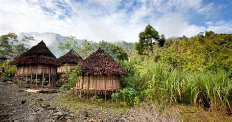 Yankok Villages Sandaun Papua New Guinea Other