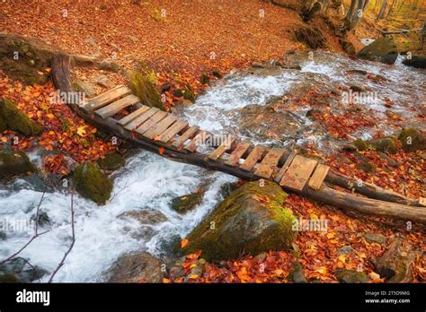 Immerse yourself in the serenity of autumn as you encounter a