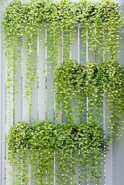 18 Smart Vertical Garden Ideas For Small Spaces Upgardener Vertical