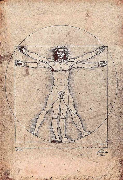 Leonardo Da Vinci Profile Of The Italian Renaissance Man