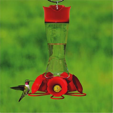 16oz Capacity Glass Hummingbird Feeder With 5 Feeding Ports Ebay