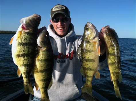 Leech is truly one of minnesota's premier walleye lakes. Leisure Outdoor Adventures: Leech Lake Fishing Guide ...