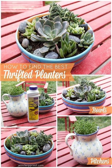 How To Turn Thrift Shop Finds Into Herb Planters And Succulent Gardens