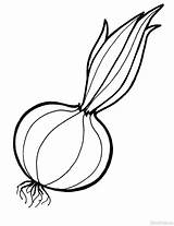 Onion Coloring Vegetables Fruits Recommended sketch template