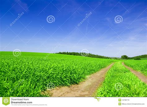 Green Field With Road And Blue Sky Stock Photo Image Of Cloudy