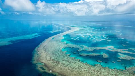 Great Barrier Reef Australia Uhd 4k Wallpaper Pixelz