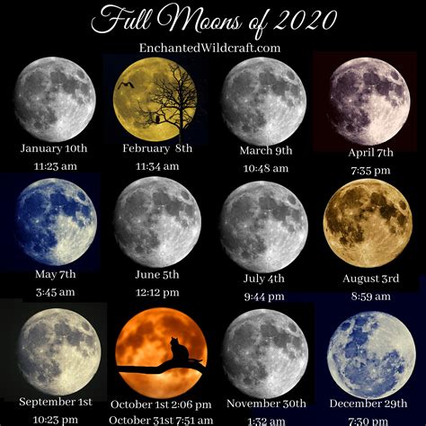 How Many Full Moons Have There Been On Halloween Alvas Blog