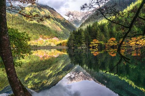 Landscape Of Mirror Lake And Forest At Jiuzhaigou National Park China