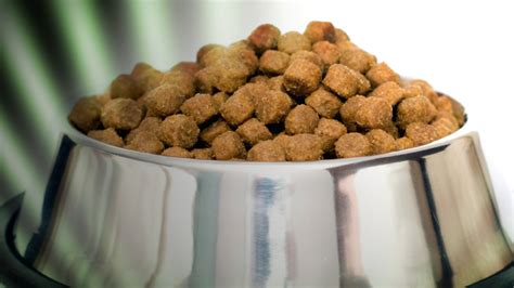 All products, including performance dog (expanded recall) Pet food recall expanded after more than 70 dogs die