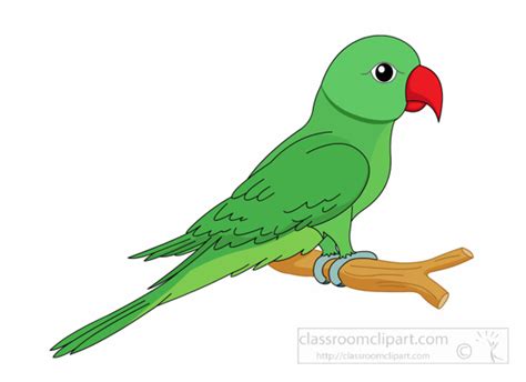 Parrot Clipart Best