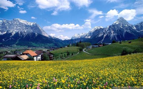 4 Springtime In The Mountains Meadow Mountains Hd Wallpaper Pxfuel