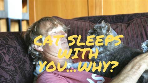 Why Does Your Cat Sleep With You Veterinary Secrets With Dr Andrew