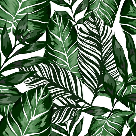 Tropical Palm Leaves Wallpaper Mural Lush Green Tropical Leaves Palm