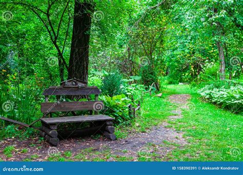 An Old Wooden Bench In The Park Among Green Trees And Grass In The