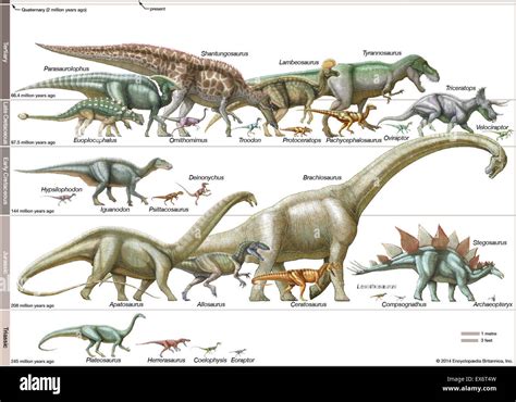 Dinosaurs Size Comparison Of Dinosaurs Size Scale Diagram Flickr