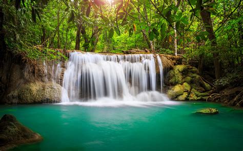 Best Desktop Wallpaper Of Waterfall Image Of Forest Trees Imagebankbiz