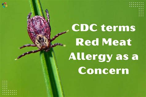 Cdc Terms Red Meat Allergy As A Concern The Lifesciences Magazine