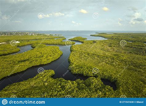 Overhead View Of Everglades Swamp With Green Vegetation Between Water