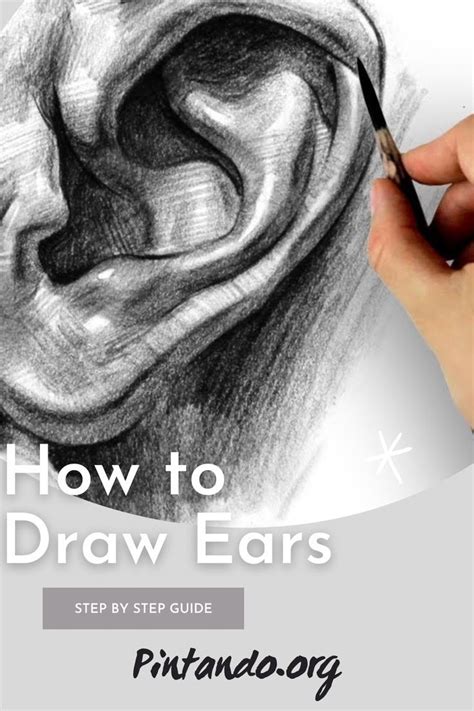 How To Draw Ears Step By Step How To Draw Ears Drawings Light In