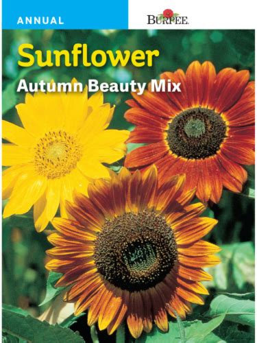 Burpee® Autumn Beauty Mix Sunflower Seeds 1 Ct Kroger