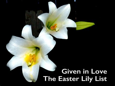 The Easter Lily List Zion Lutheran Church