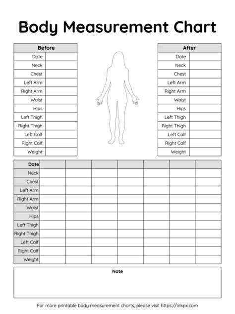 Free Printable Simple Table Style Body Measurement Chart For Female · Inkpx