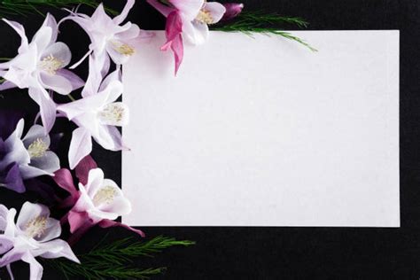 Sympathy Card Stock Photos Pictures And Royalty Free Images Istock