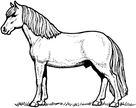 Horse Coloring Pages Free Large Images